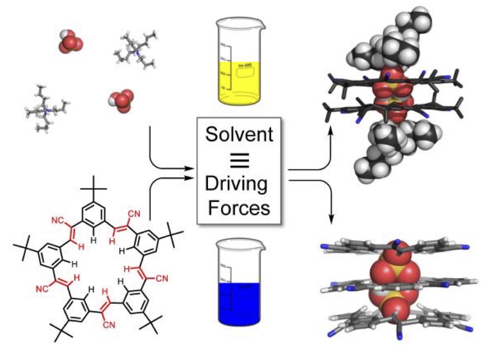 Ion-pairing and Co-facial Stacking Drive High-fidelity Bisulfate Assembly with Cyanostar Macrocyclic Hosts